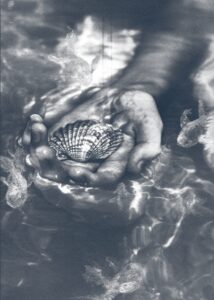 Coleção de conchas de Oxum Ilustração Luciana Itanifè